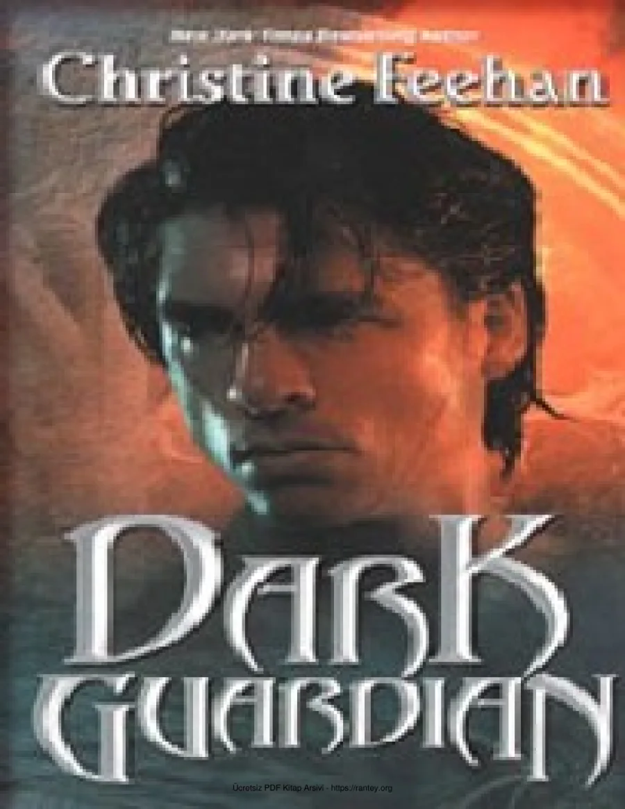 Dark Guardian kapak görseli