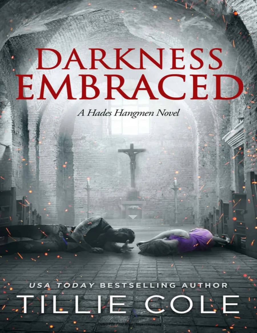 Darkness Embraced kapak görseli