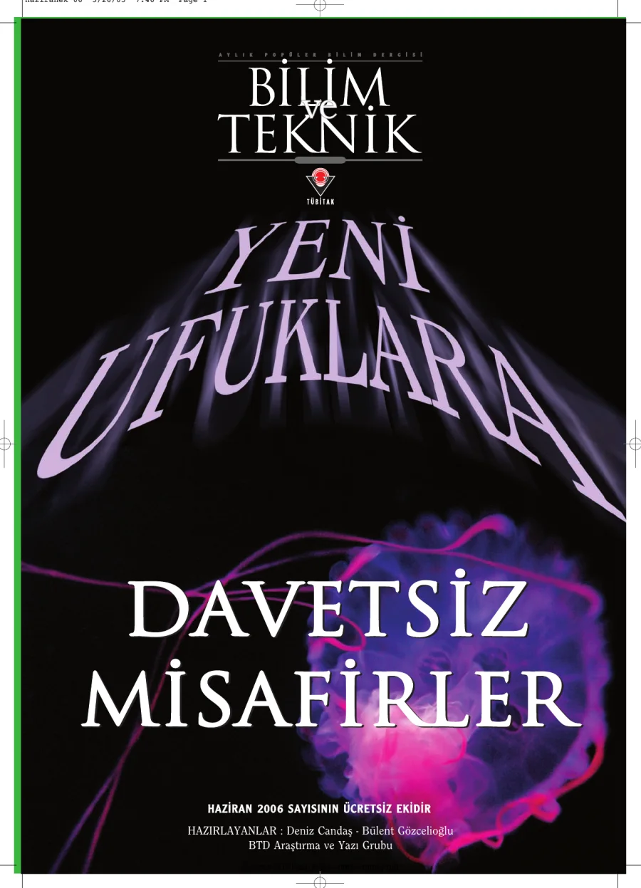 Davetsiz Misafirler kapak görseli