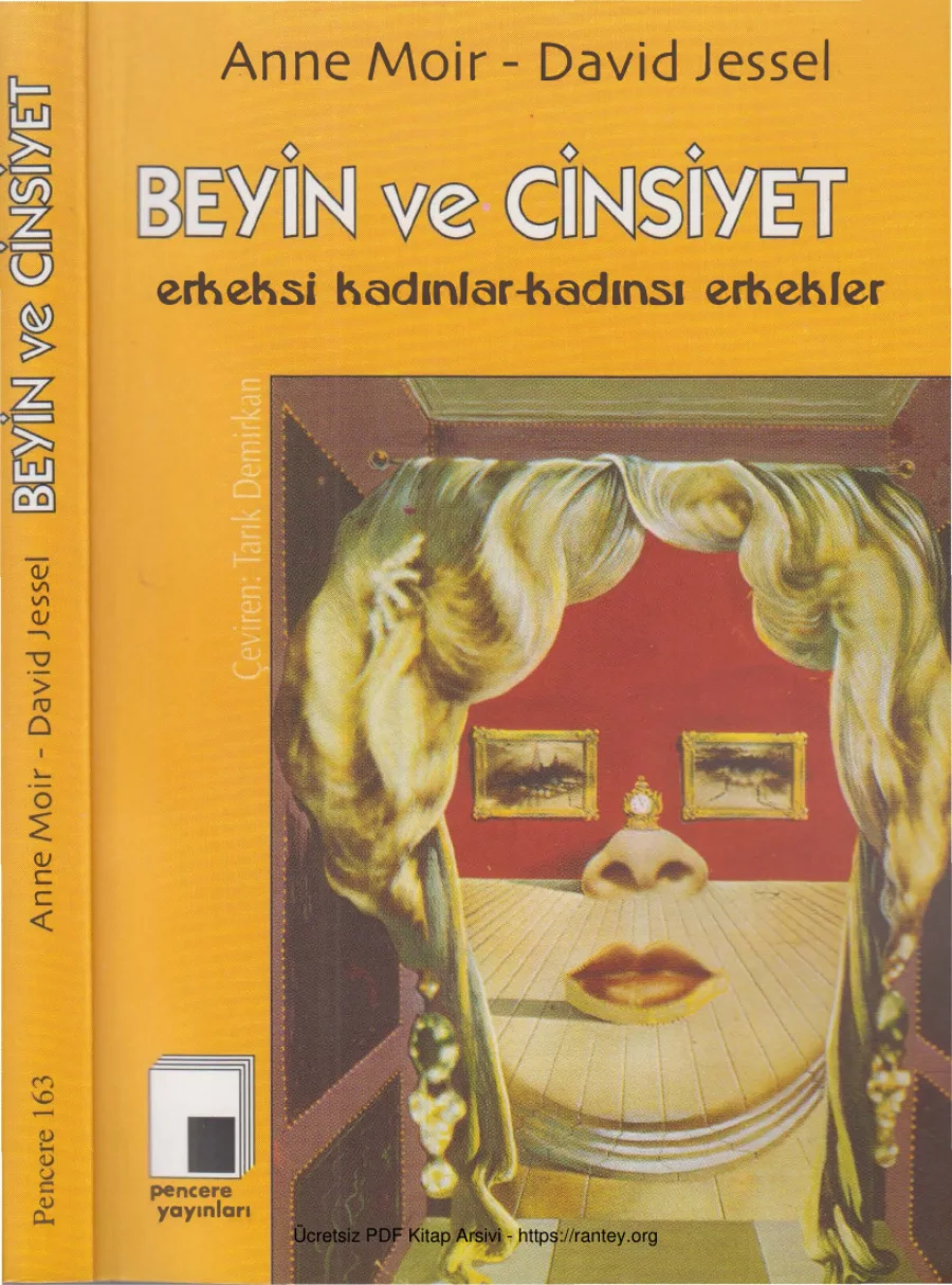 David Jessel Beyin ve Cinsiyet Pencere Yayınları kapak görseli