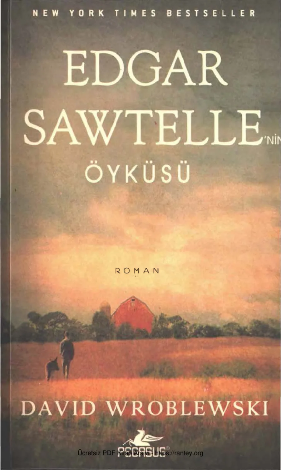 David Wroblewski Edgar Sawtellenin Öyküsü kapak görseli