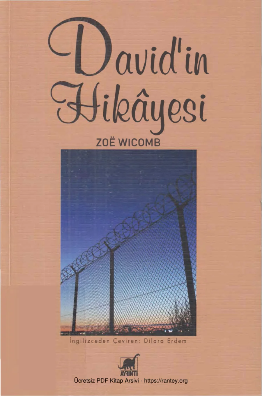 Davidin Hikayesi kapak görseli