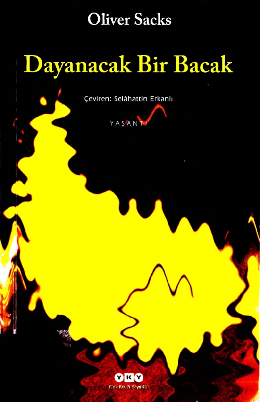 Dayanacak Bir Bacak kapak görseli