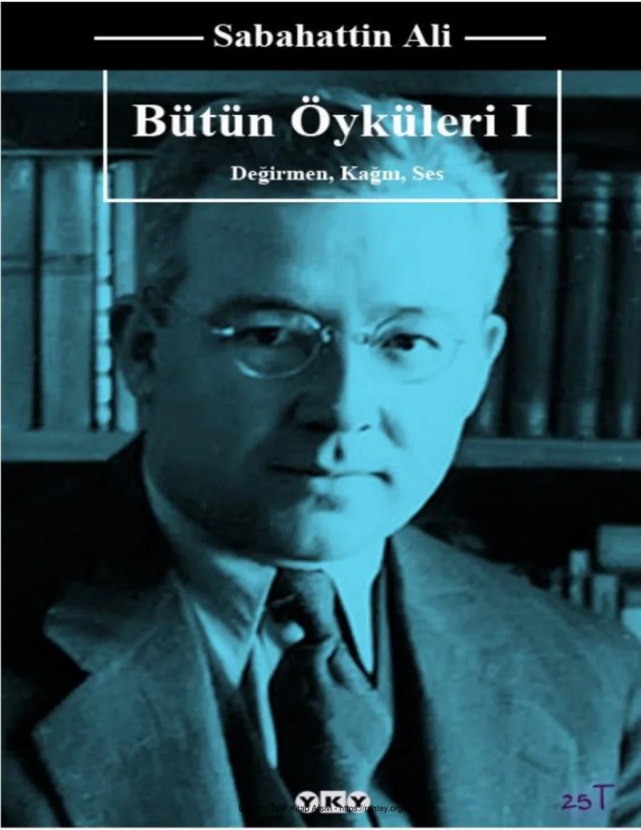 Değirmen Kağnı Ses kapak görseli