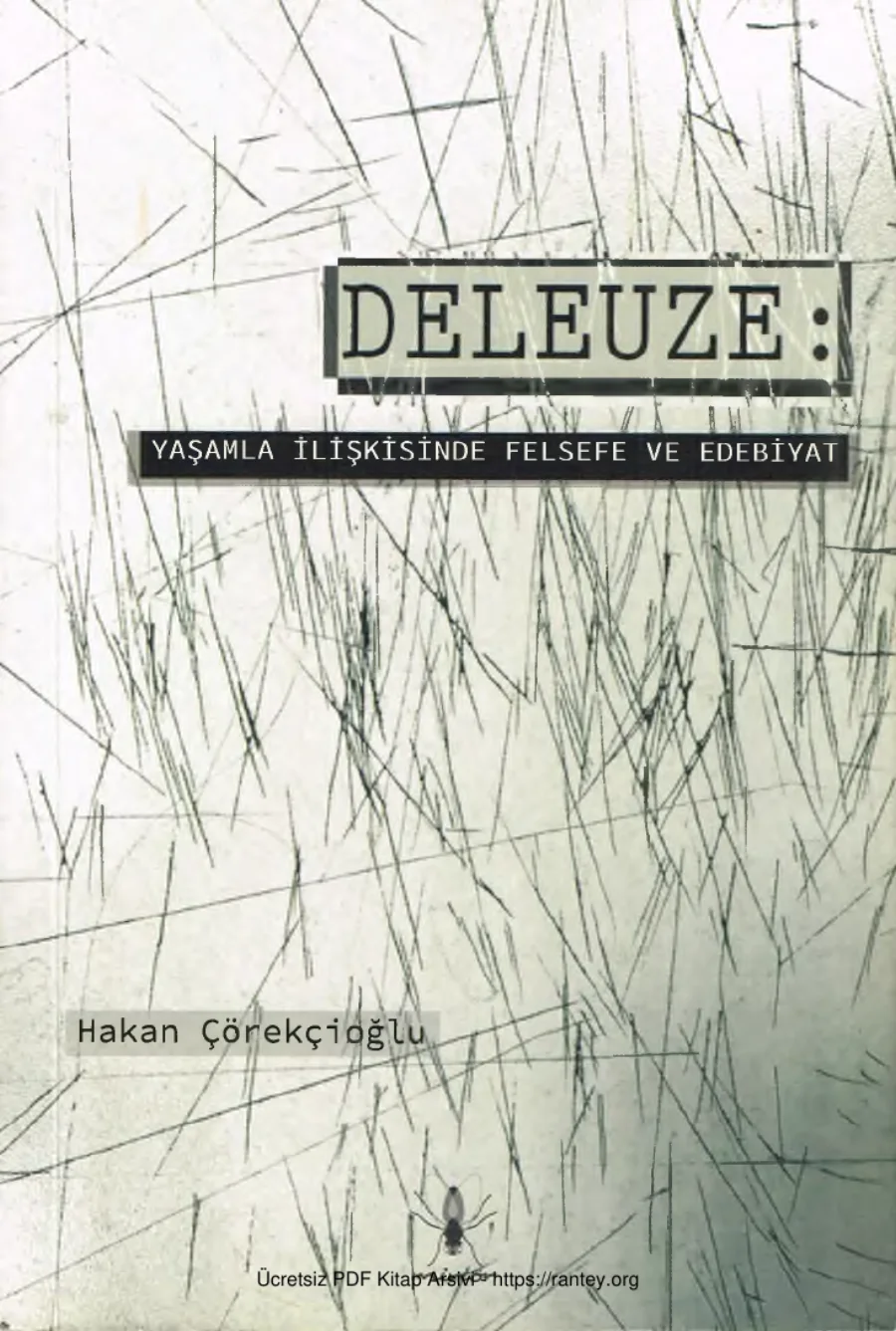Deleuze Yaşamla İlişkisinde Felsefe ve Edebiyat Minör Yayınları kapak görseli
