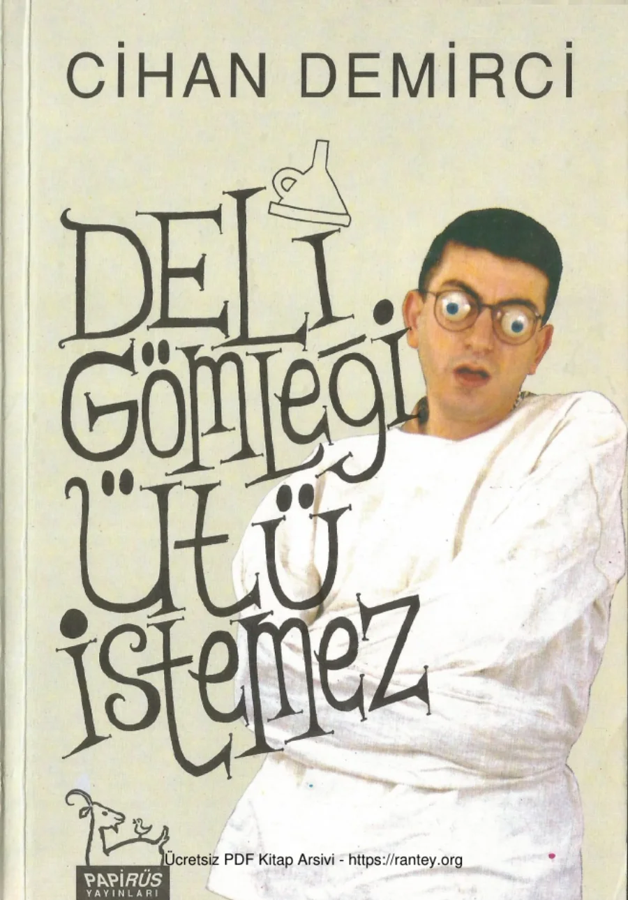 Deli Gömleği Ütü İstemez kapak görseli