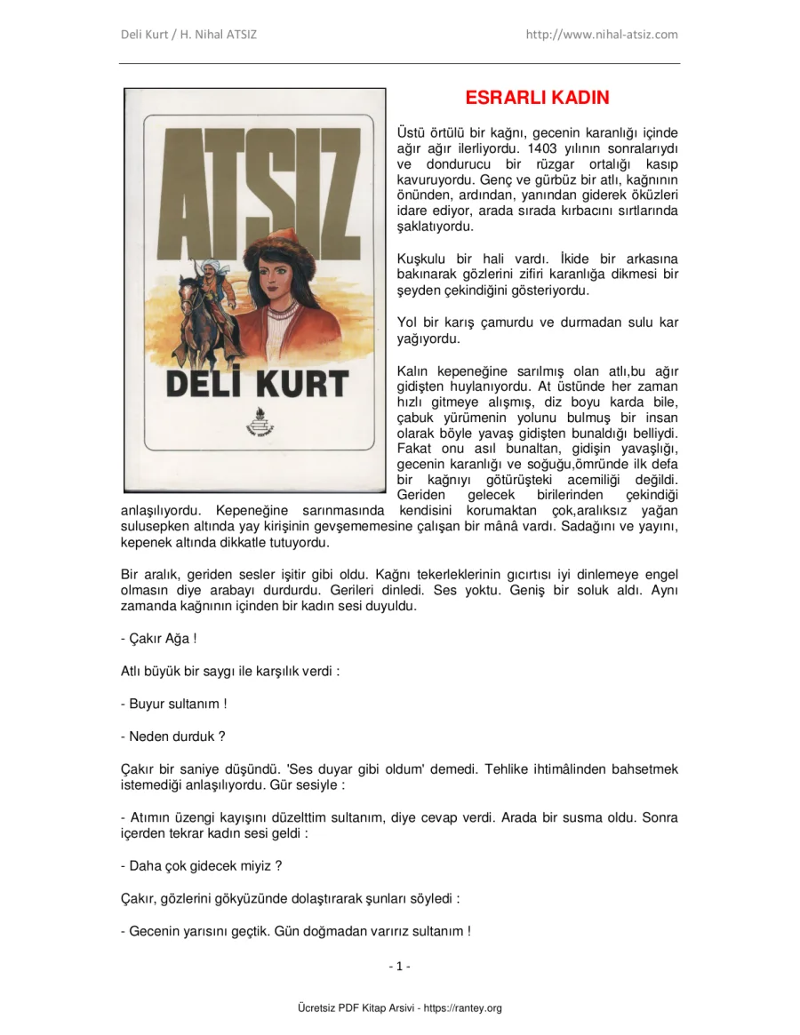 Deli Kurt kapak görseli