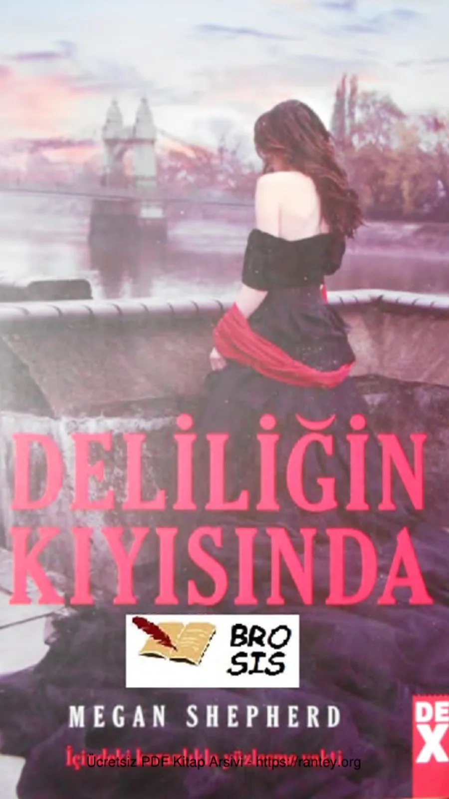 Deliliğin Kıyısında kapak görseli