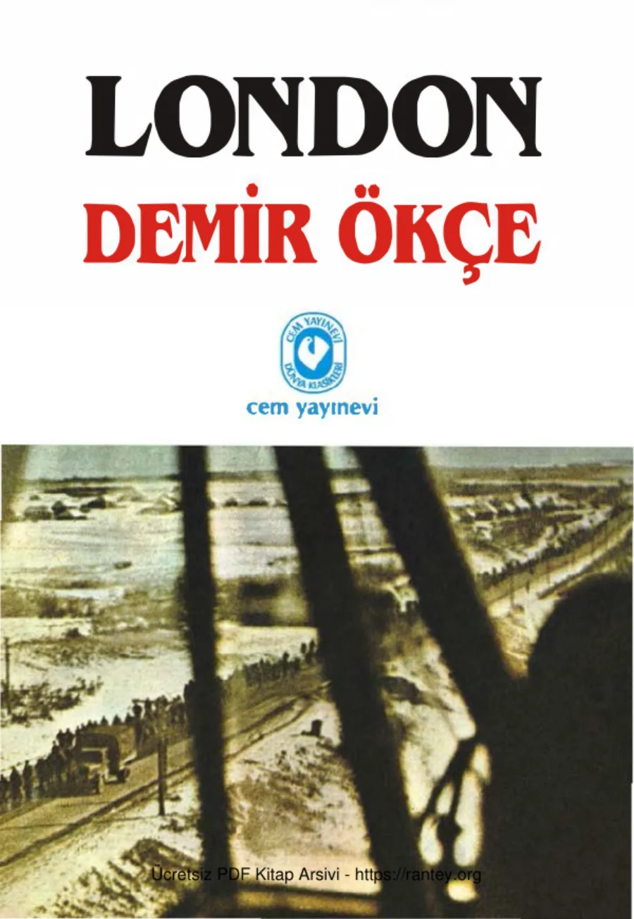 Demir Ökçe Cem Yayınevi kapak görseli
