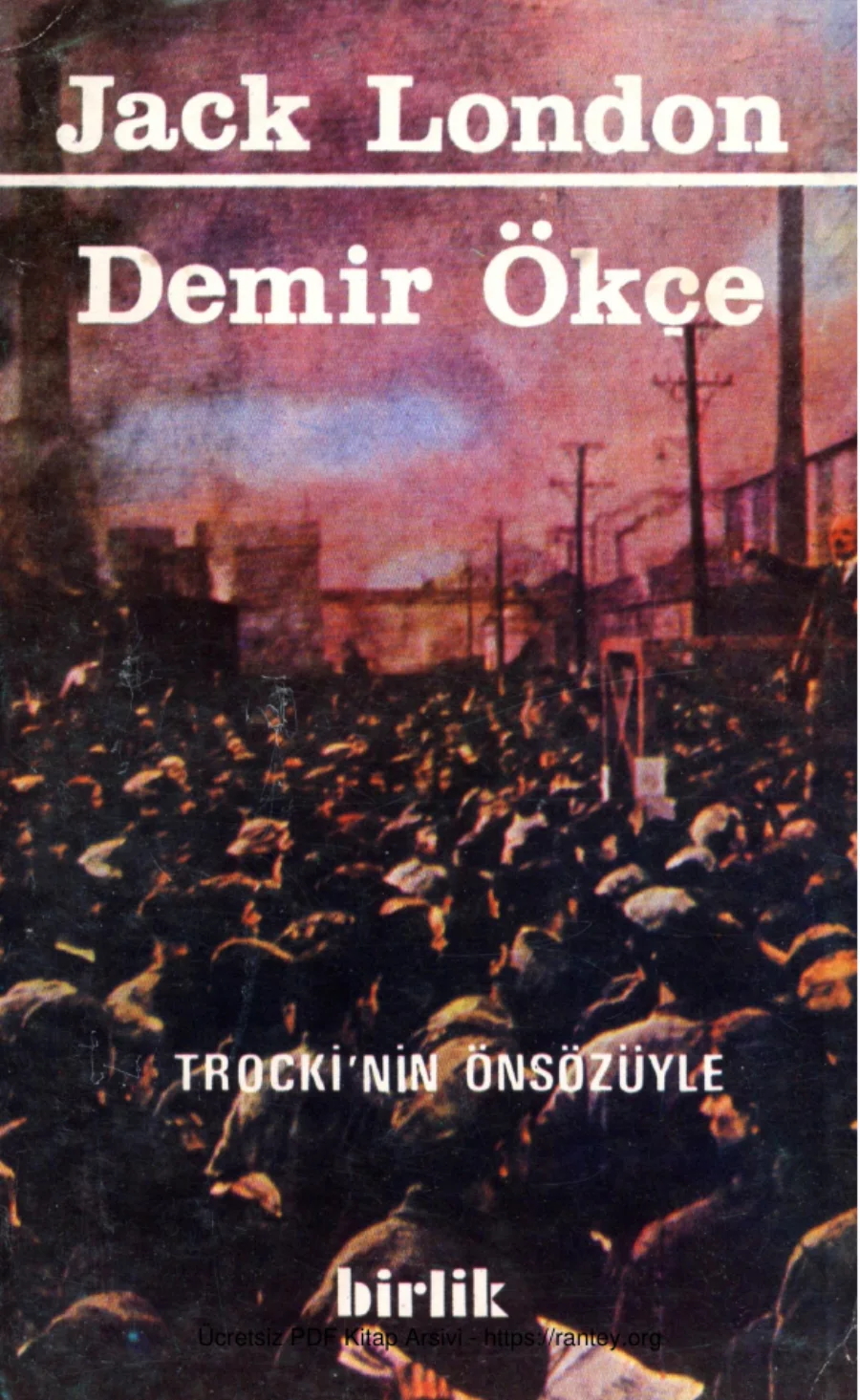 Demir Ökçe Troçkinin Önsözüyle Birlik Yayınları kapak görseli