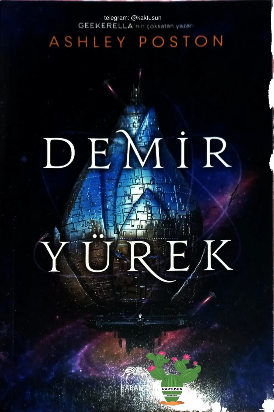 Demir Yürek kapak görseli