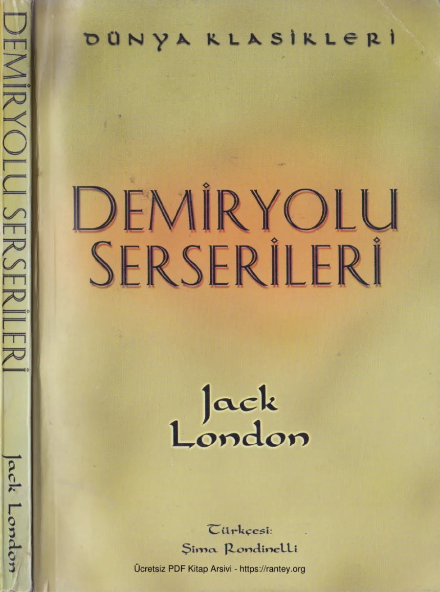 Demiryolu Serserileri kapak görseli