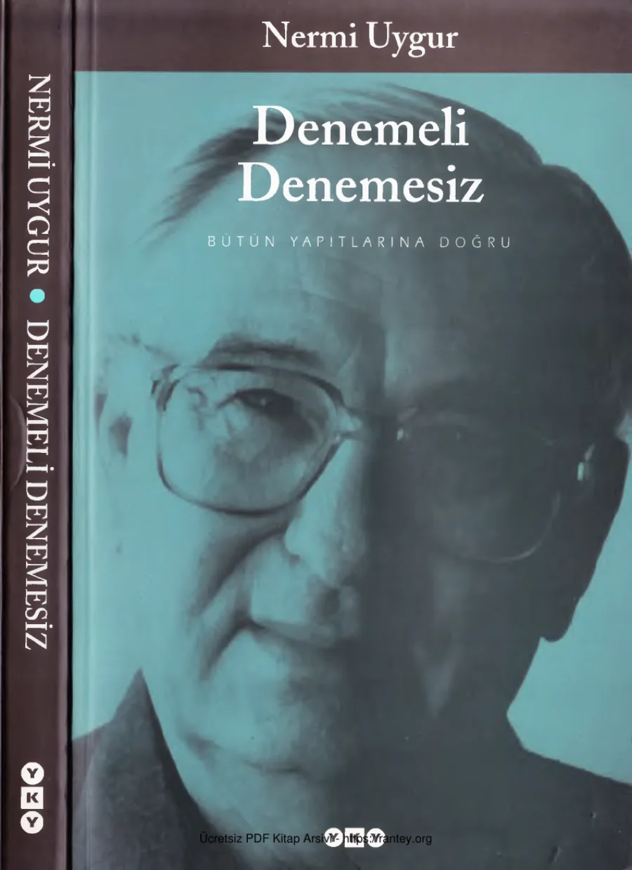 Denemeli Denemesiz kapak görseli