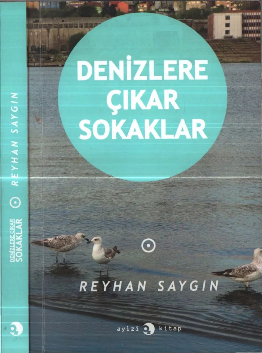 Denizlere Çıkar Sokaklar kapak görseli