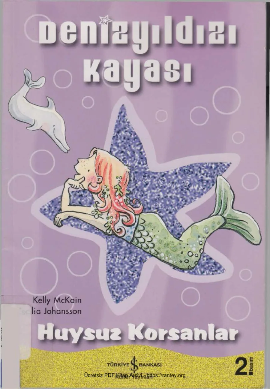 Denizyıldızı Kayası Huysuz Korsanlar cs kapak görseli