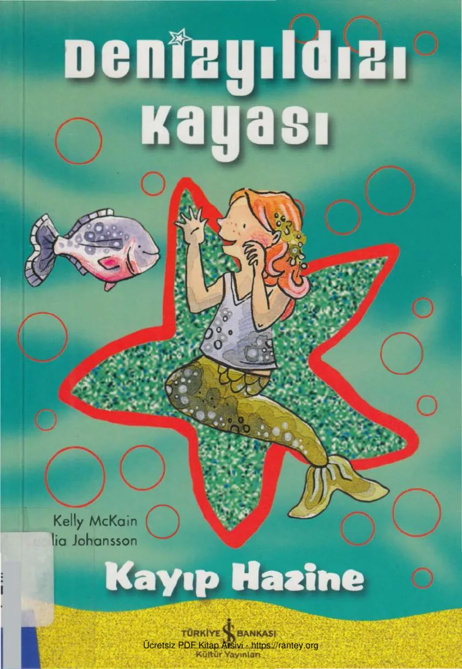 Denizyıldızı Kayası Kayıp Hazine cs kapak görseli