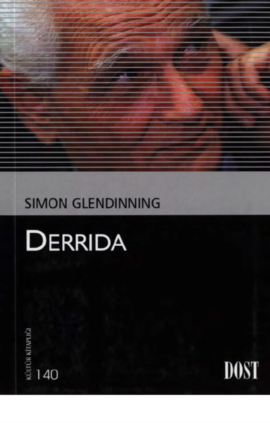 Derrida kapak görseli