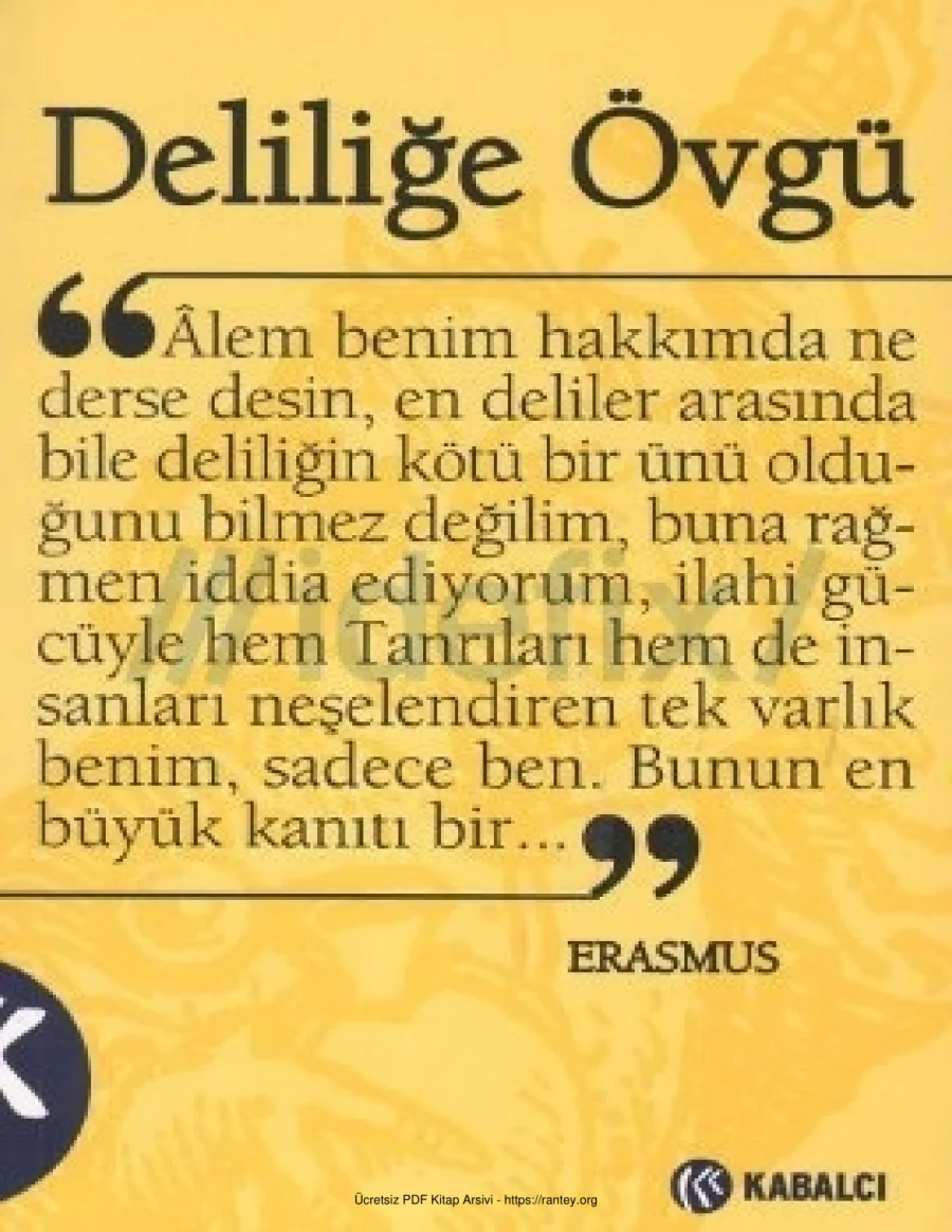 Desiderius Erasmus kapak görseli