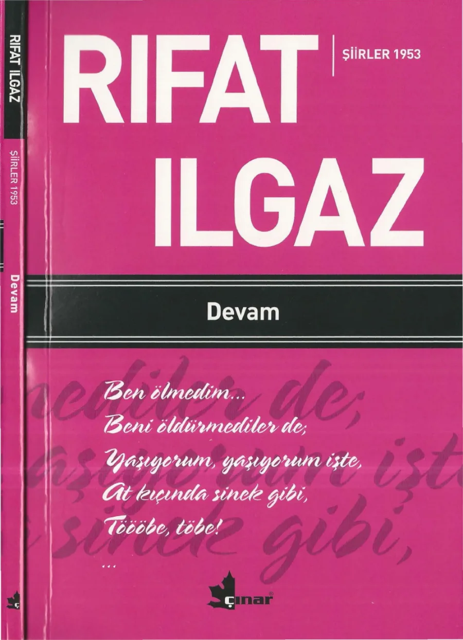 Devam kitap kapağı