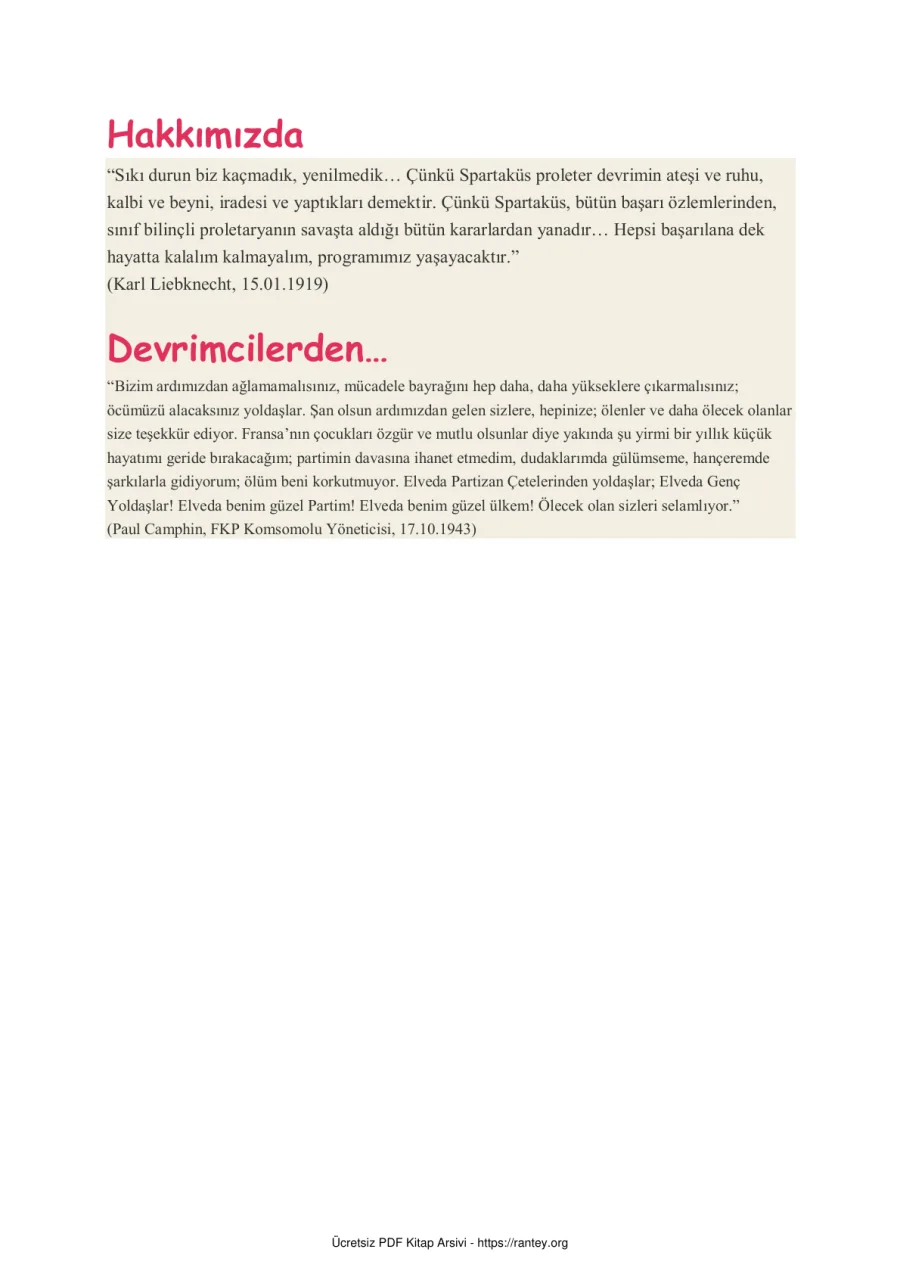 Devrimcilerden kapak görseli