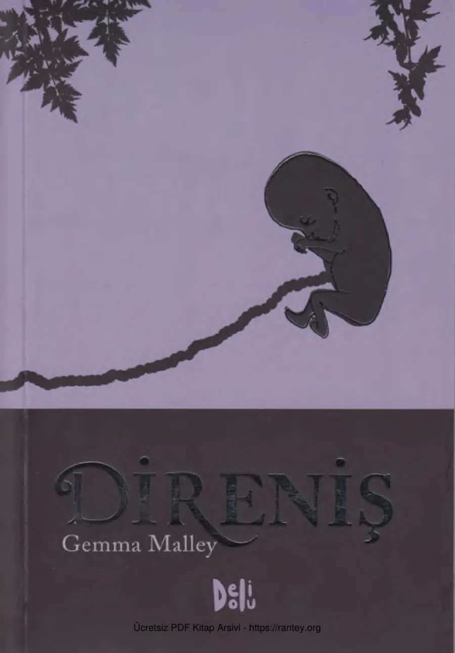 Direniş kapak görseli
