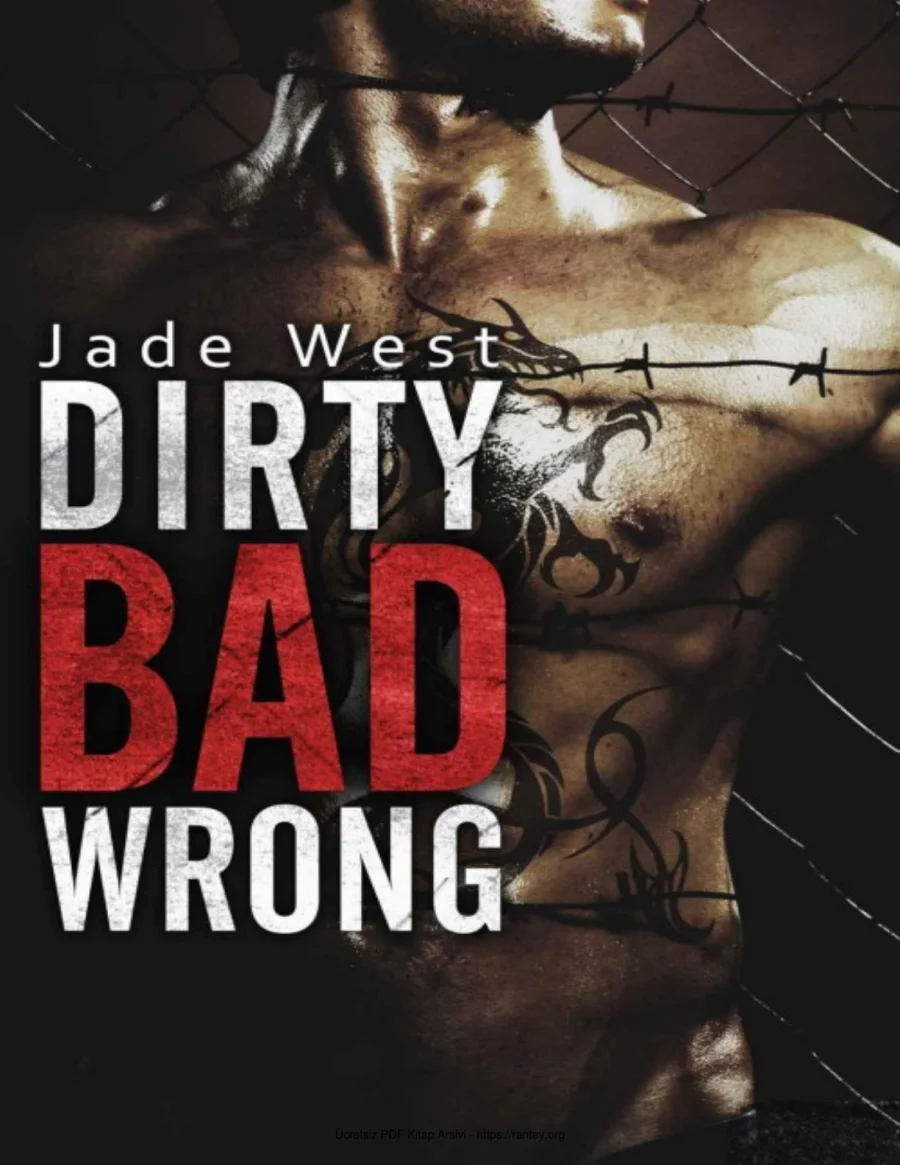 Dirty Bad Wrong kapak görseli