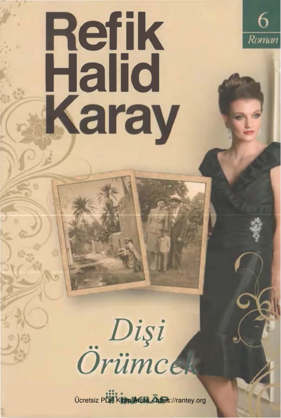 Dişi Örümcek kapak görseli