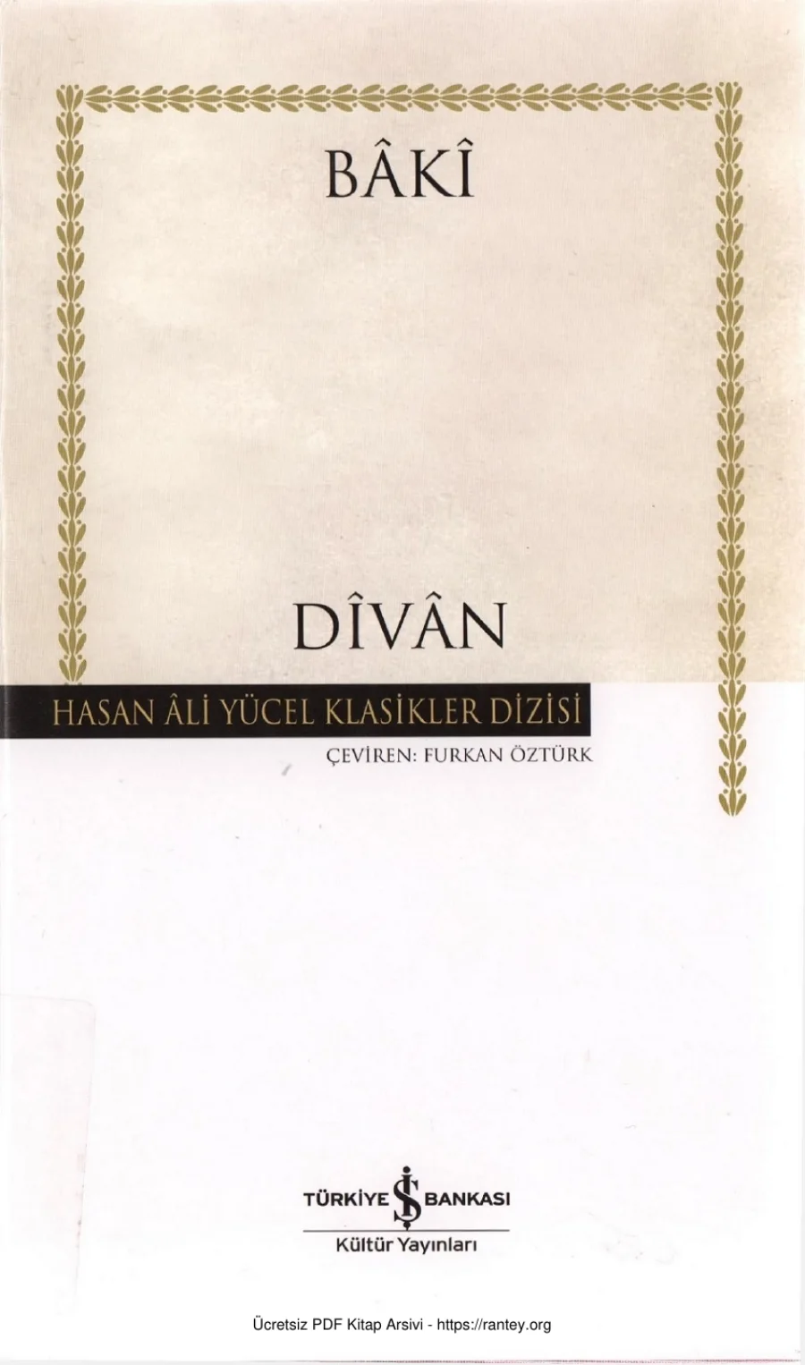Divan kapak görseli