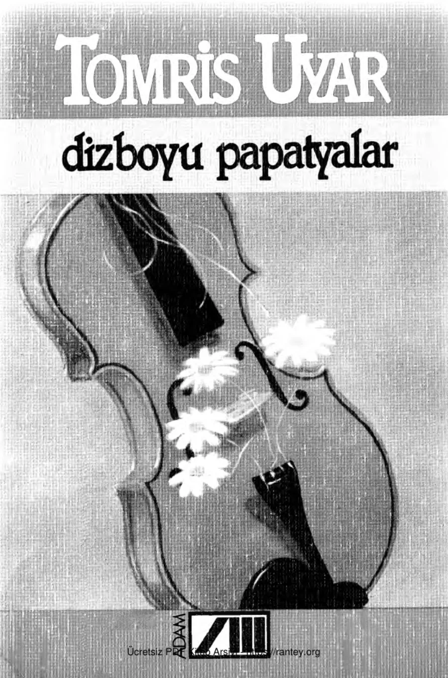 Dizboyu Papatyalar kapak görseli