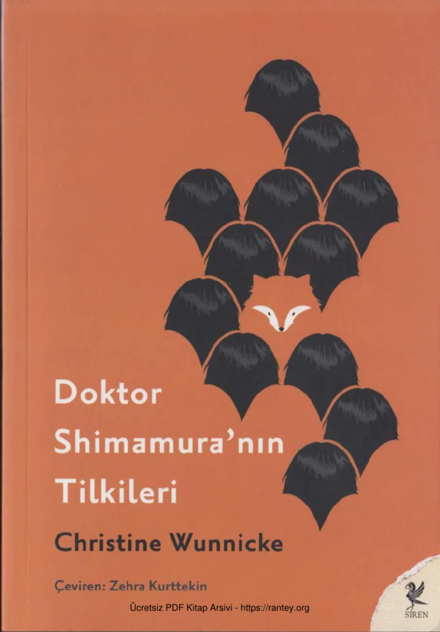 Doktor Shimamuranın Tilkileri kapak görseli