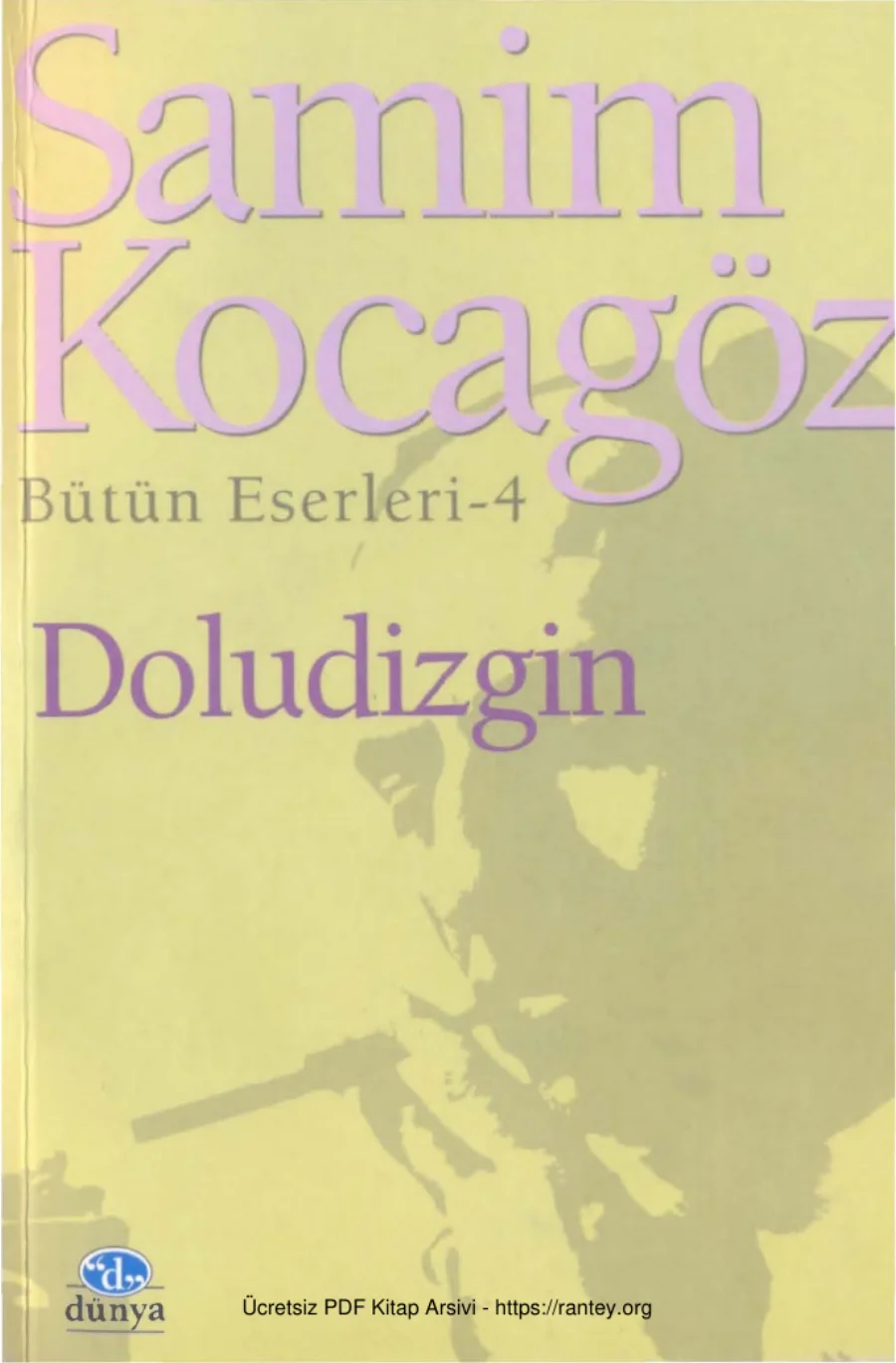Doludizgin kapak görseli