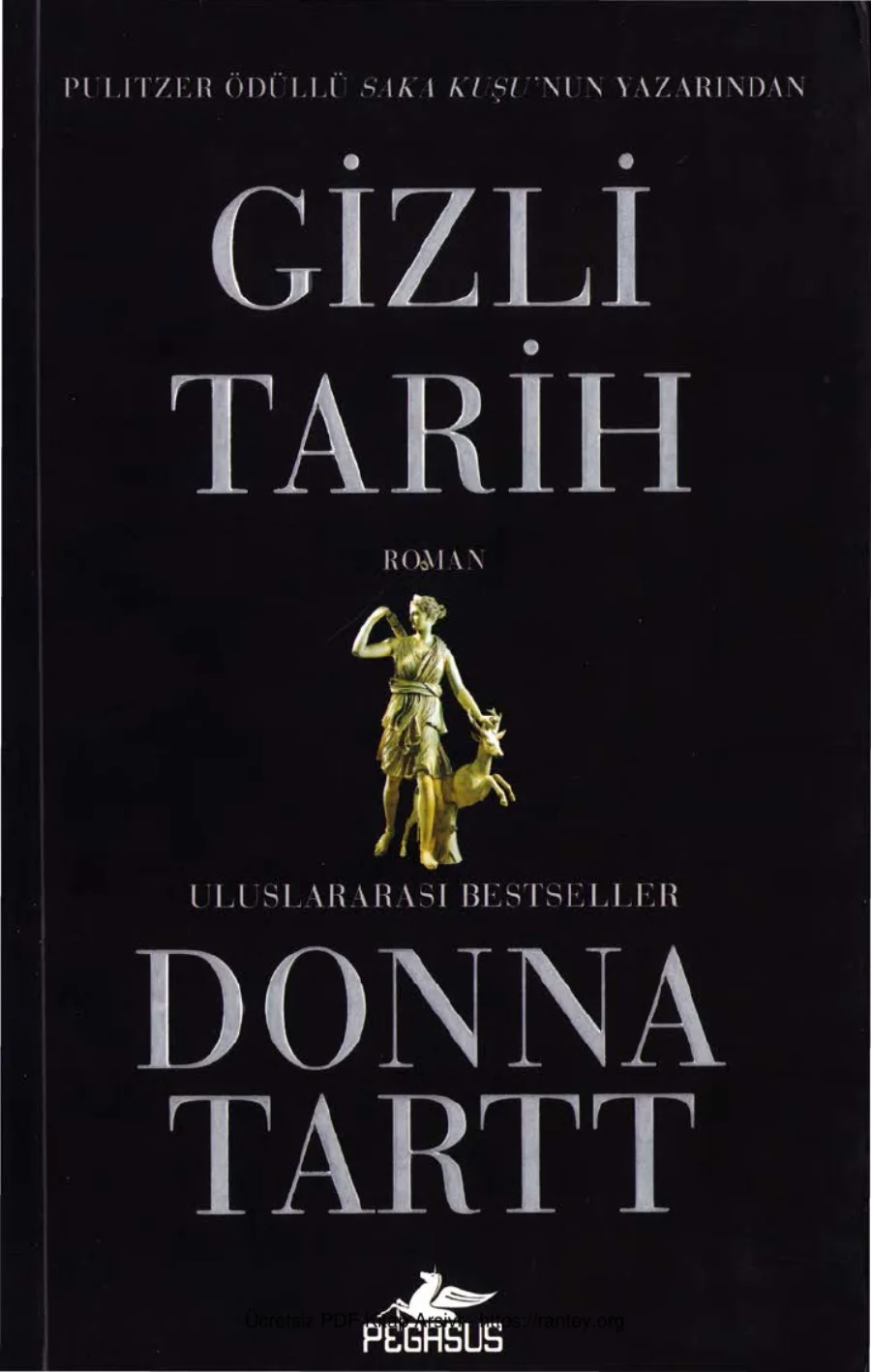 Donna Tartt Gizli Tarih kapak görseli