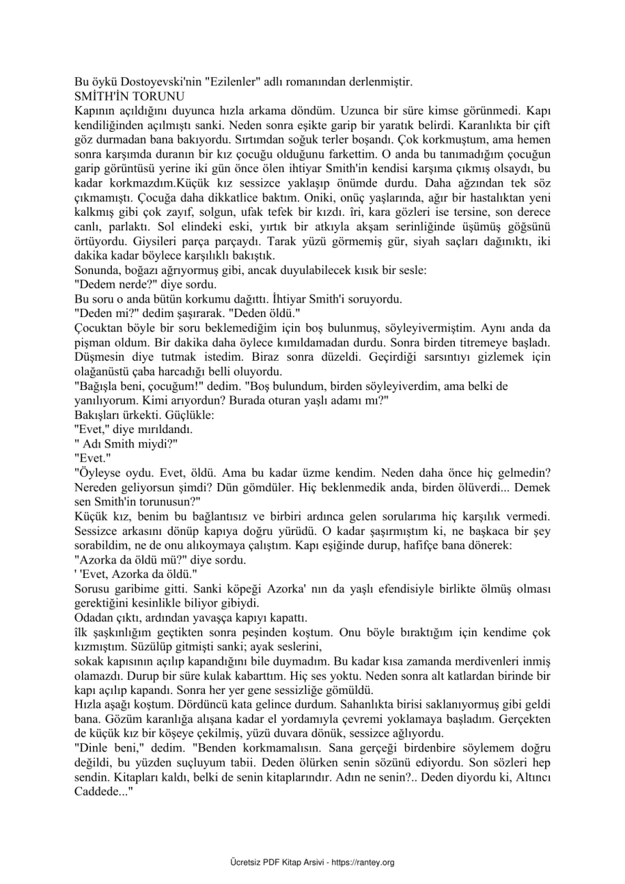 Dostoyevski Nelli nin Öyküsü kapak görseli