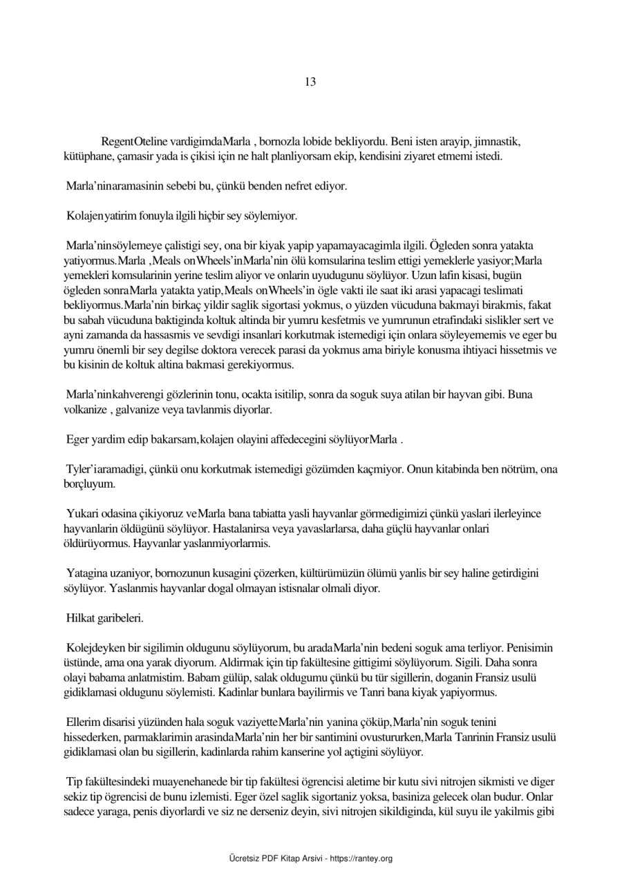 Dövüş Kulübü 2 kapak görseli