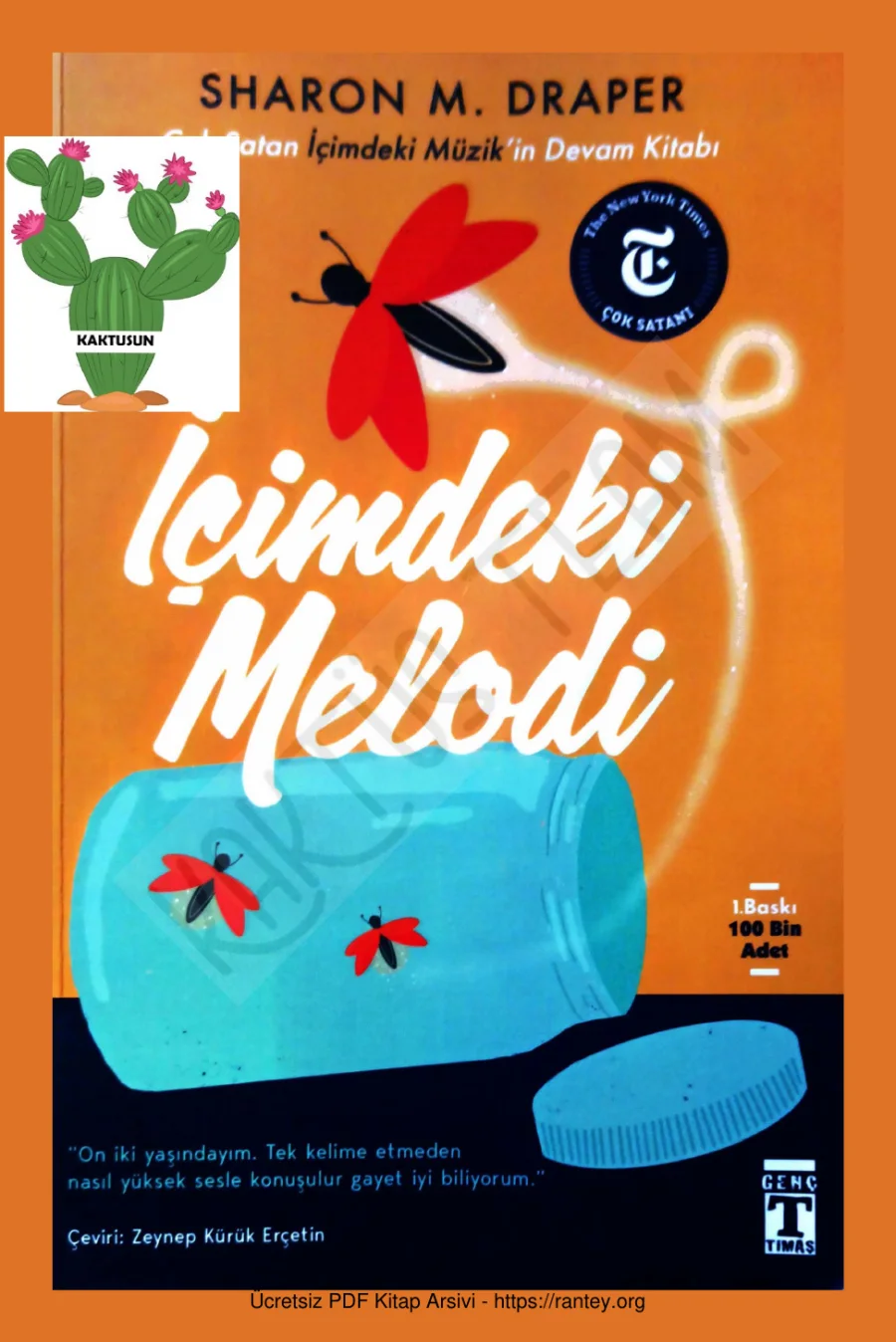Draper İçimdeki Melodi kapak görseli