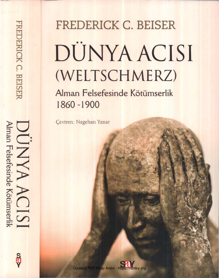 Dünya Acısı Weltschmerz Alman Felsefesinde Kötümserlik 1860 1900 kapak görseli