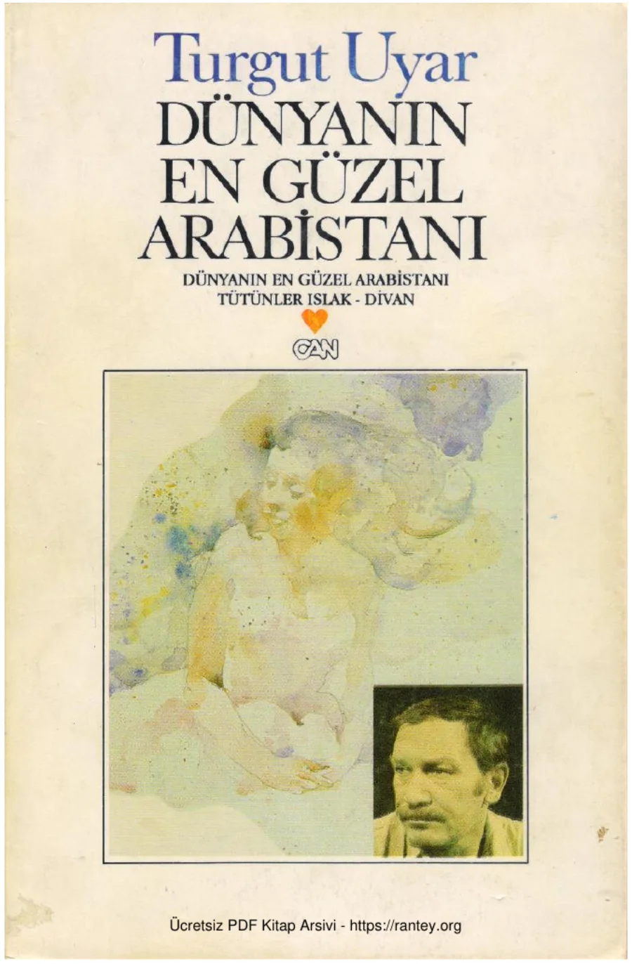 Dünyanın En Güzel Arabistanı kapak görseli