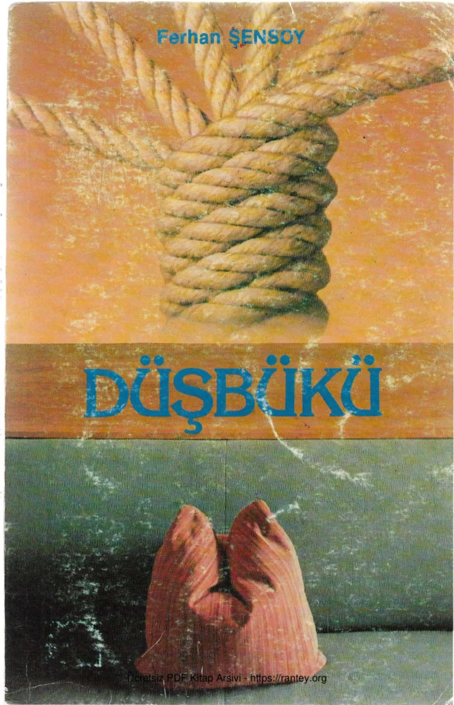 Düşbükü kapak görseli