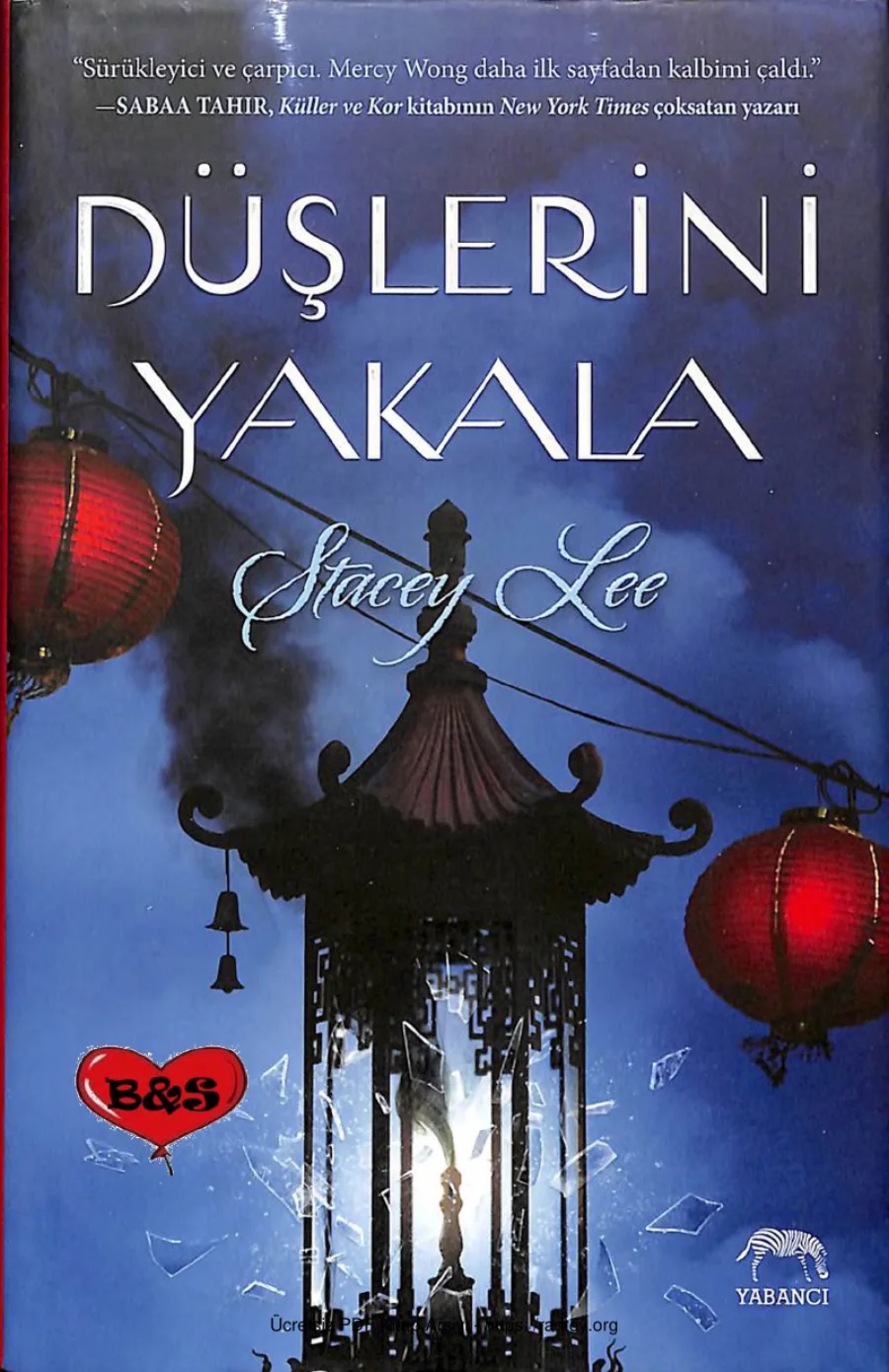 Düşlerini Yakala kapak görseli