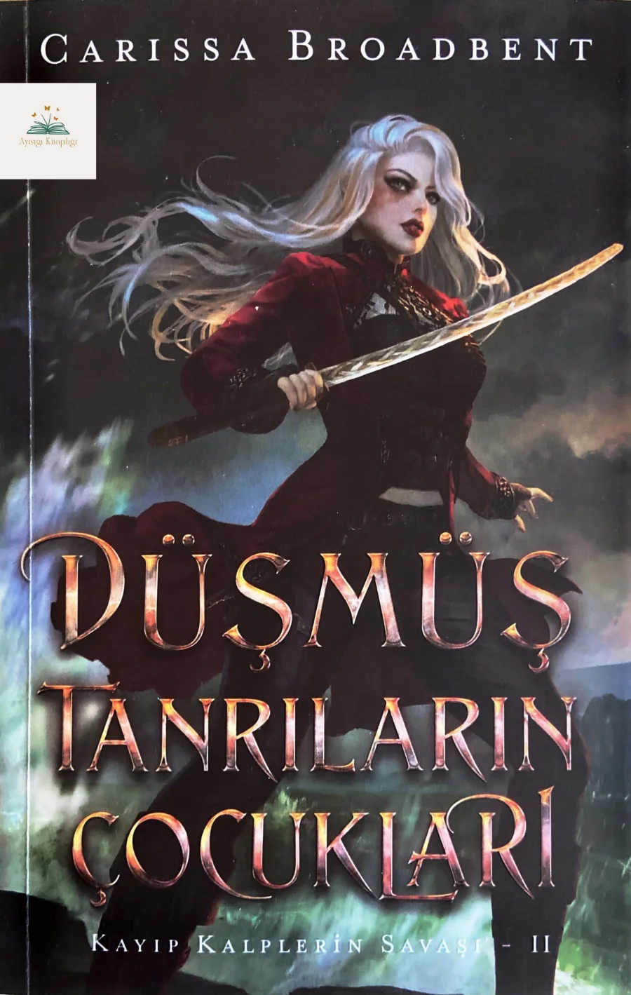 Düşmüş Tanrıların Çocukları kapak görseli