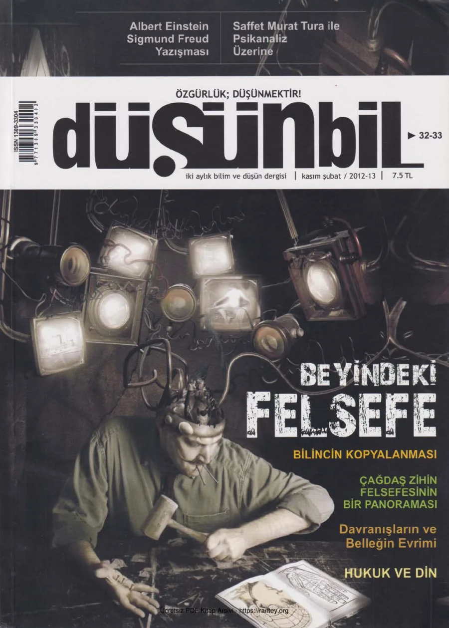 Düşünbil Sayı 032 33 Şubat 2013 kapak görseli