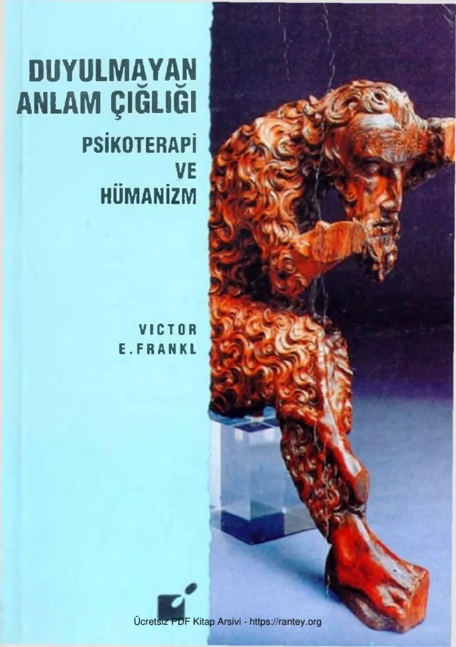 Duyulmayan Anlam Çığlığı kapak görseli