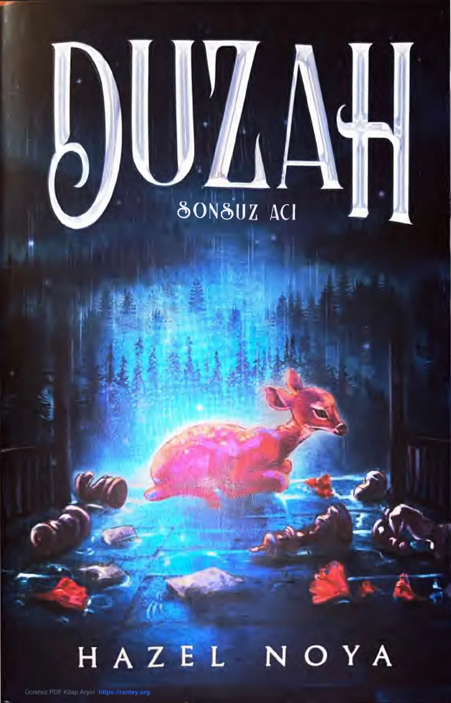 Düzah 2: Sonsuz Acı kapak görseli