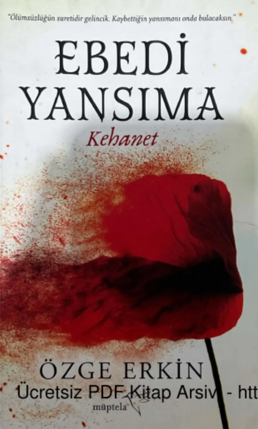 Edebi Yansıma 2017 kapak görseli