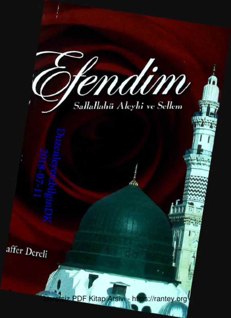 Efendim Sallahu Aleyhi Ve Sellem kapak görseli