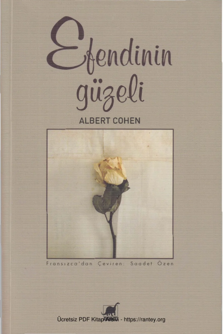 Efendinin Güzeli Ayrıntı Yayınları kapak görseli