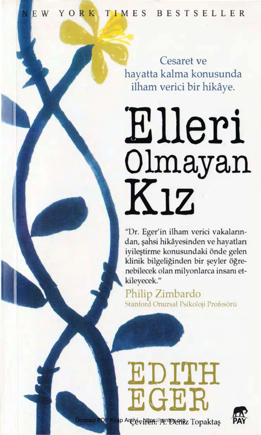 Eger Esme Schwall Weigand Elleri Olmayan Kız Pay Yayınları kapak görseli