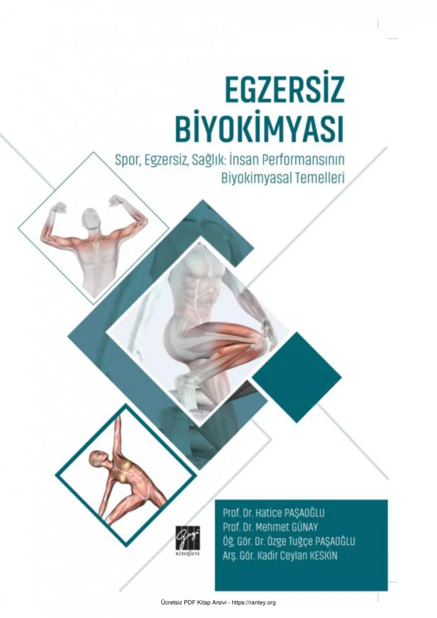 Egzersiz Biyokimyası Gazi Kitabevi kapak görseli