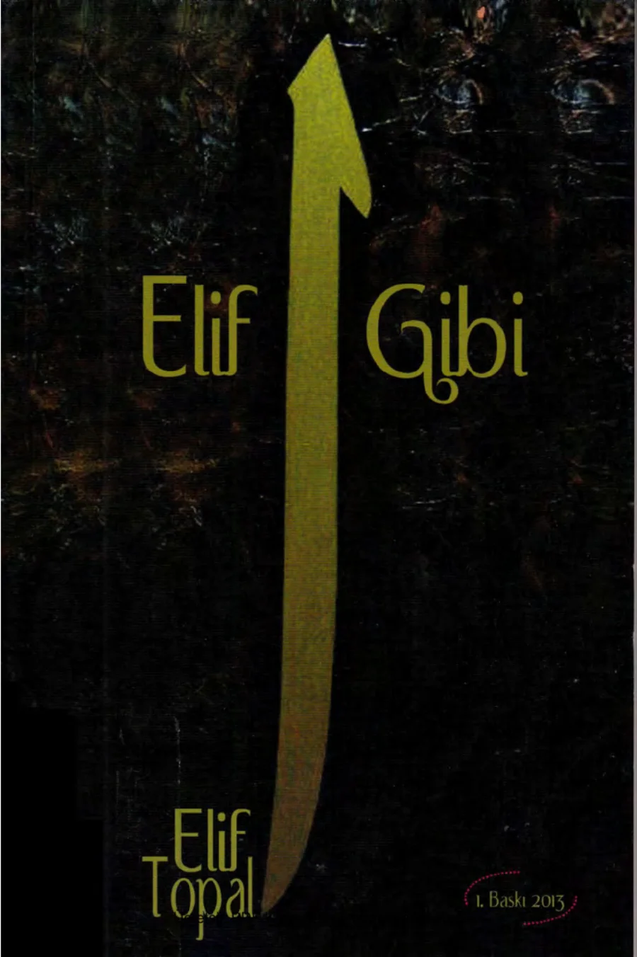 Elif Gibi Kutupyıldızı Yayınları kapak görseli