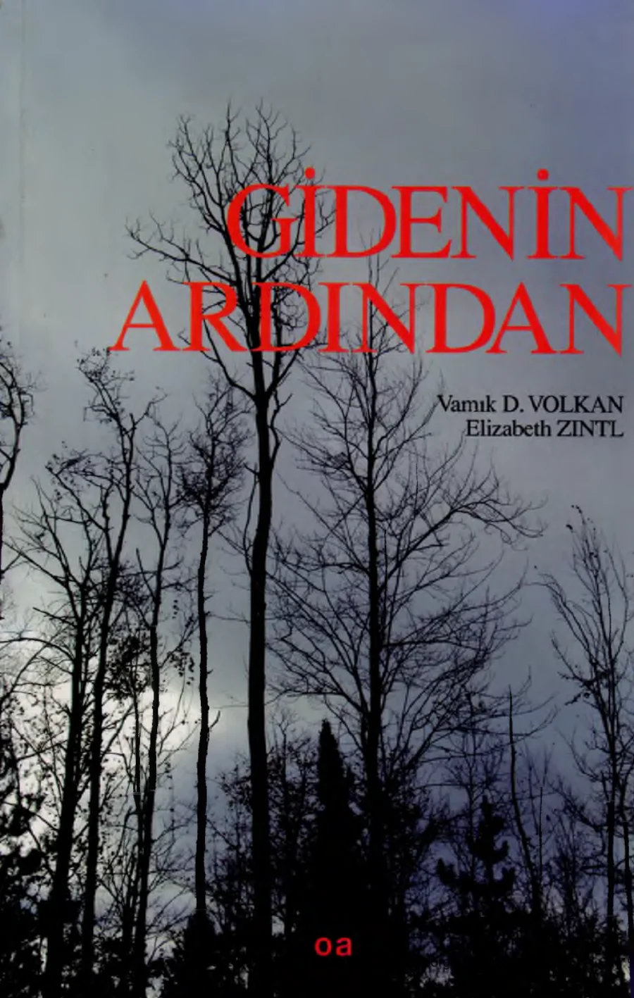 Elizabeth Zintl Gidenin Ardından kapak görseli